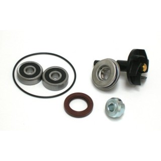 Kit Reparacion Bomba De Agua Vespa GTS 300
