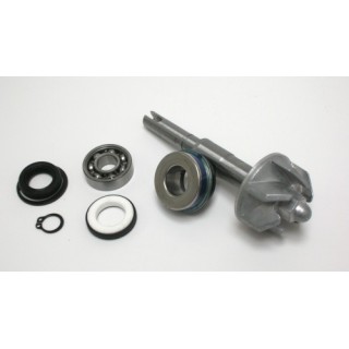 Kit Reparacion Bomba De Agua Honda SH125 / PS125, dylan, @