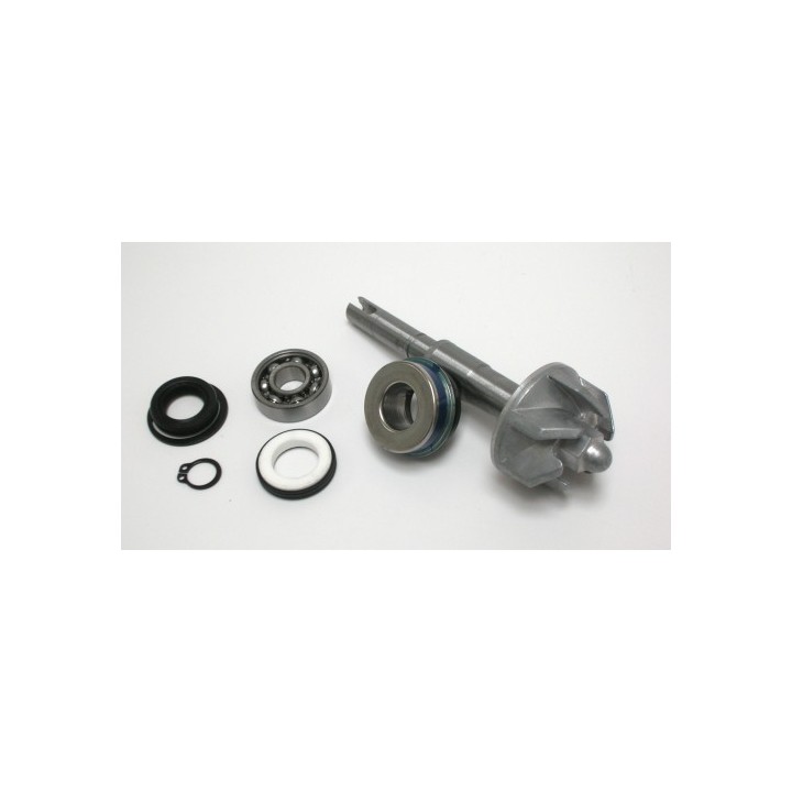Kit Reparacion Bomba De Agua Honda SH125 / PS125, dylan, @