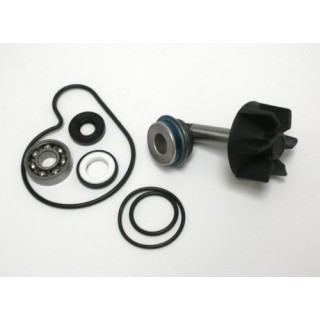Kit Reparacion Bomba De Agua Suzuki Burgman 250/400