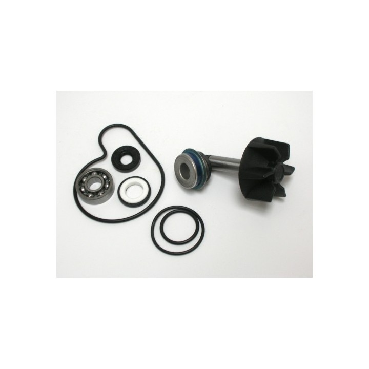 Kit Reparacion Bomba De Agua Suzuki Burgman 250/400