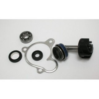 Kit Reparacion Bomba De Agua Yamaha Majesty 250