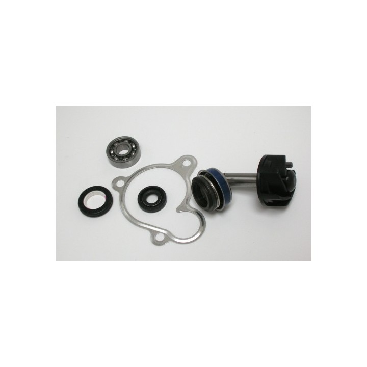 Kit Reparacion Bomba De Agua Yamaha Majesty 250
