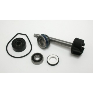Kit Reparacion Bomba Agua Yamaha X-Max 400, Majesty 400