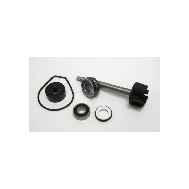Kit Reparacion Bomba Agua Yamaha X-Max 400, Majesty 400