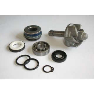 Kit Reparacion Bomba De Agua Aprilia Leonardo 250