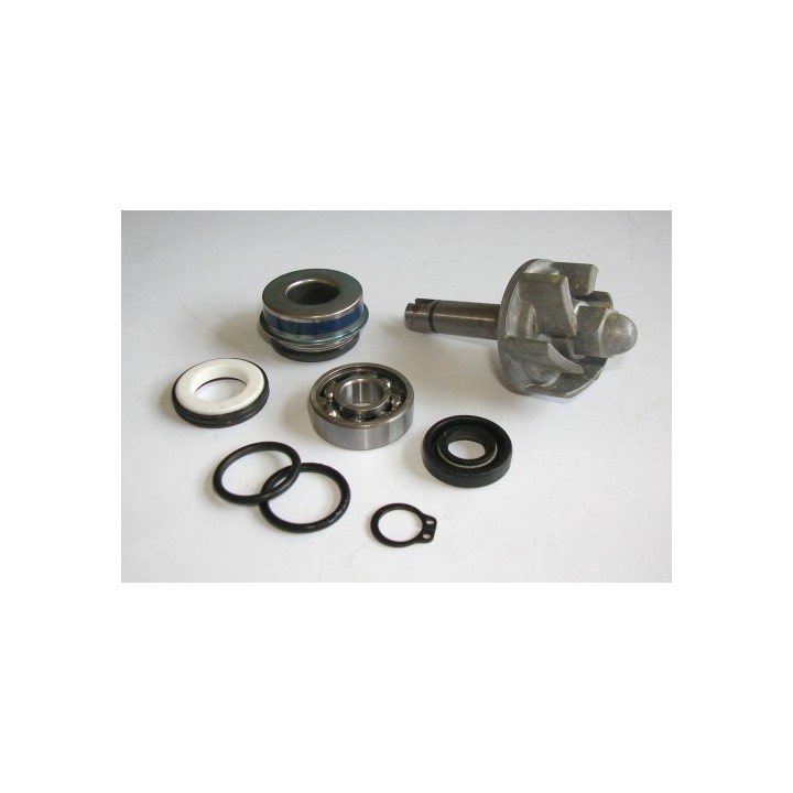 Kit Reparacion Bomba De Agua Aprilia Leonardo 250