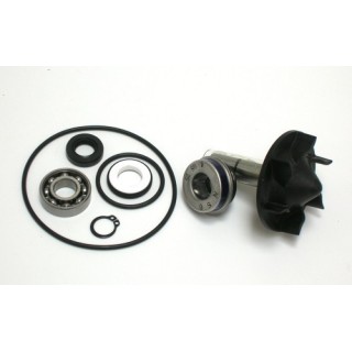 Kit Reparacion Bomba De Agua Yamaha T-Max 530