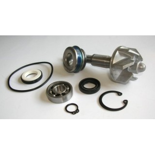 Kit Reparacion Bomba De Agua Honda Pantheon