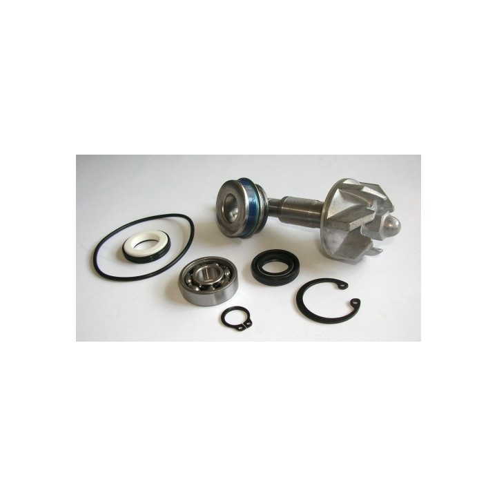 Kit Reparacion Bomba De Agua Honda Pantheon