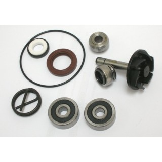 Kit Reparacion Bomba De Agua Piaggio Beverly 250