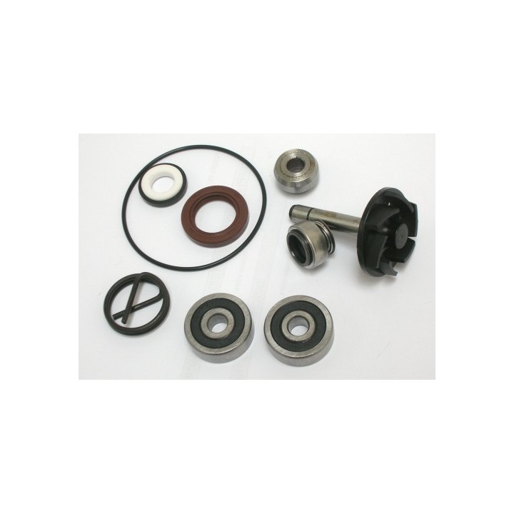 Kit Reparacion Bomba De Agua Piaggio Beverly 250