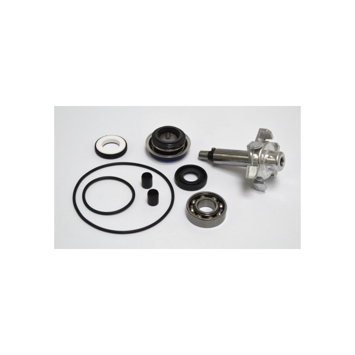 Kit Reparacion Bomba De Agua Honda SH-125, honda pcx