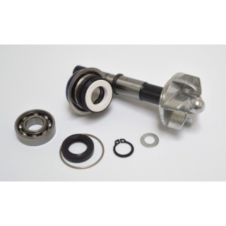 Kit Reparacion Bomba De Agua Daelim S3