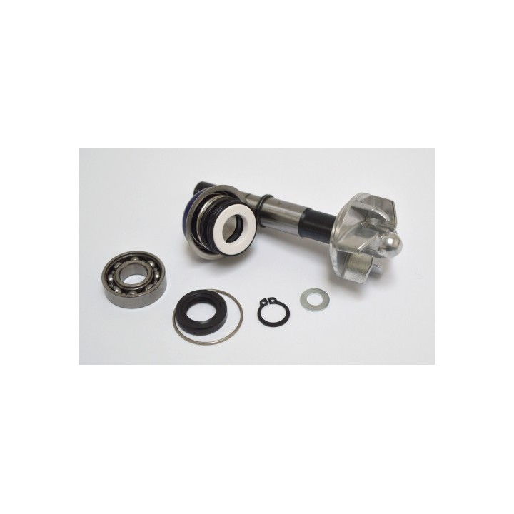 Kit Reparacion Bomba De Agua Daelim S3