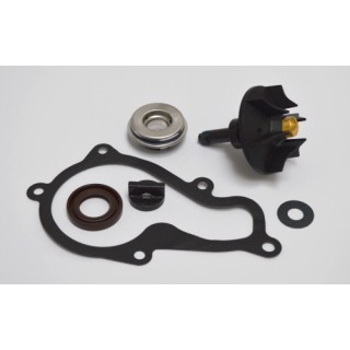 Kit Reparacion Bomba De Agua Piaggio Beverly 350
