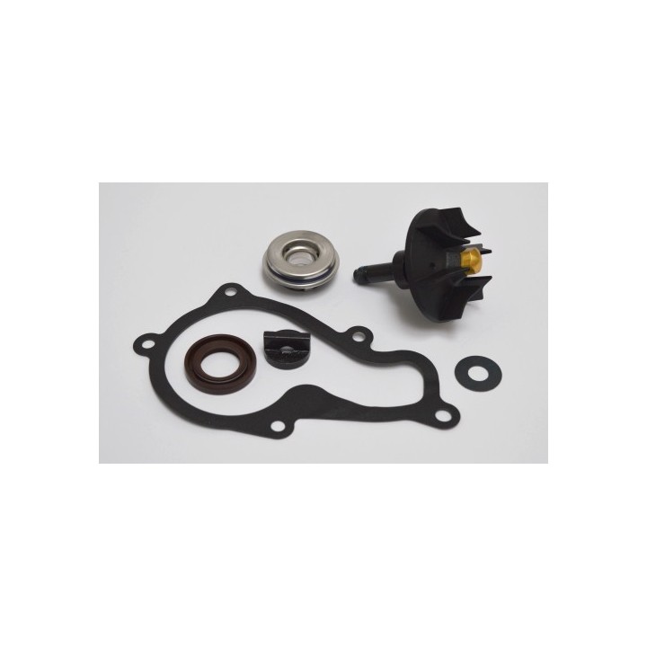 Kit Reparacion Bomba De Agua Piaggio Beverly 350