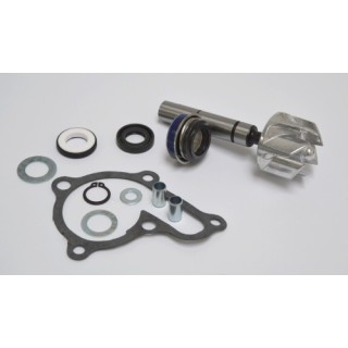 Kit Reparacion Bomba De Agua Kymco Super Dink 125