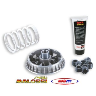 Variador Malossi Multivar Suzuki Burgman 400 K10