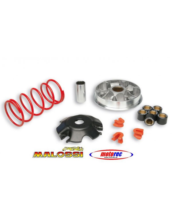 Variador Malossi Multivar Yamaha D´Elight 115