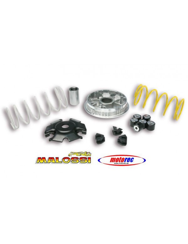 Variador  Malossi Vespa Primavera, Sprint