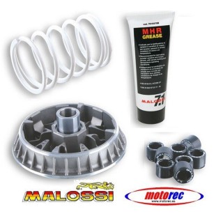 Variador Malossi Peugeot Satelis