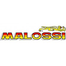Variador Malossi MHR Next Yamaha Tmax 530