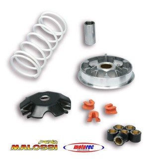 Variador Multivar Malossi Honda Lead 110