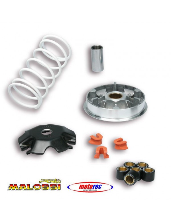 Variador Multivar Malossi Honda Lead 110