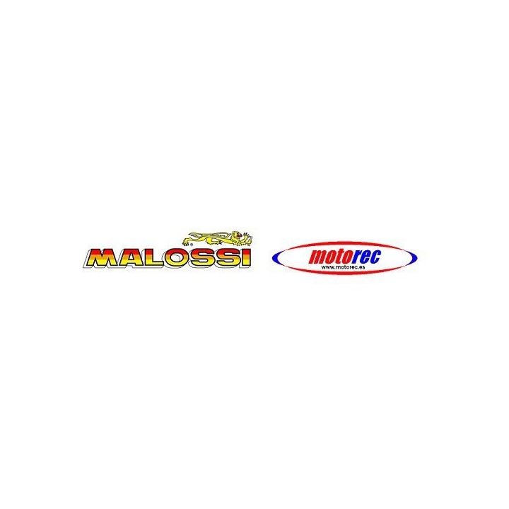 Variador Multivar Malossi Honda Lead 110