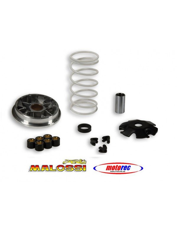 Variador Malossi Multivar Piaggio  NRG, Zip