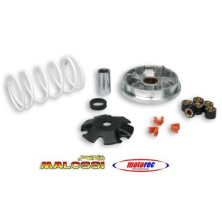 Variador Multivar Peugeot Buxy Zenith, Speedake