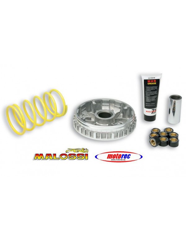 Variador Malossi   Yamaha X-Max 250, Majesty