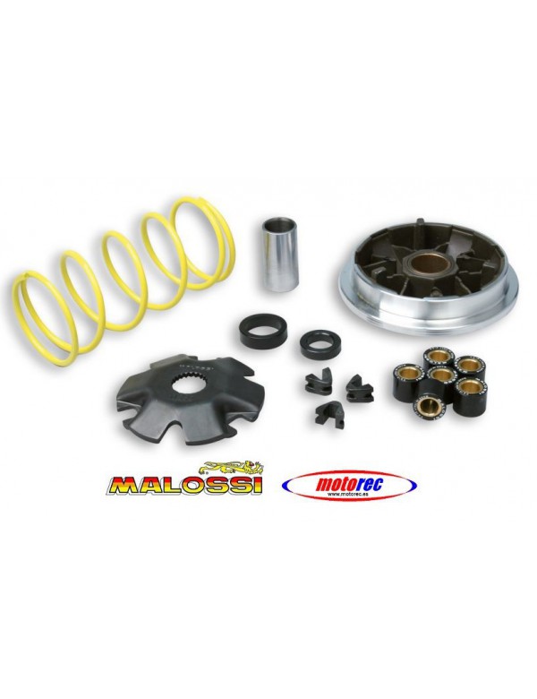 Variador Malossi suzuki Katana, Zillon, Habana