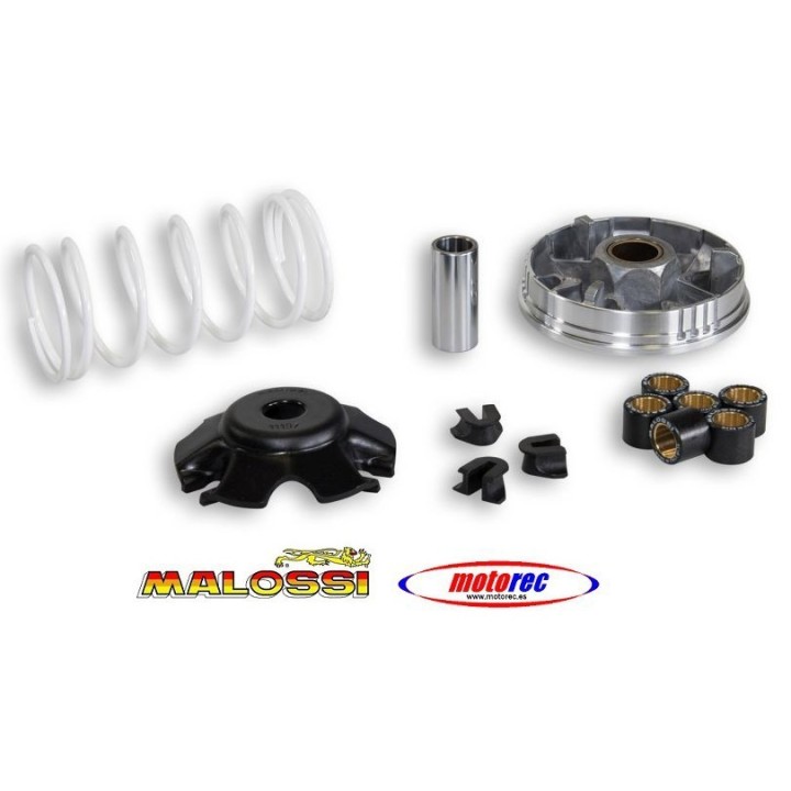 Variador Malossi  Honda SH 100, Bali 100