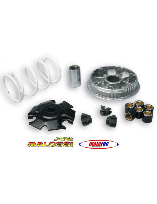 Variador Malossi  Gilera Runner 180 4T