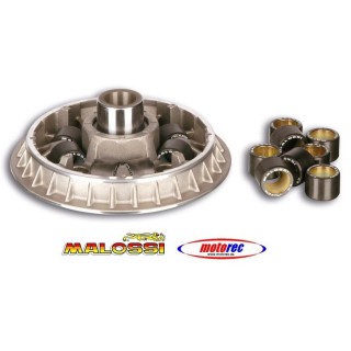 Variador Malossi Honda Silver Wing 600, SW-T
