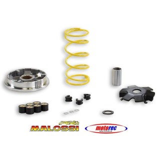 Variador Malossi Suzuki Address 100