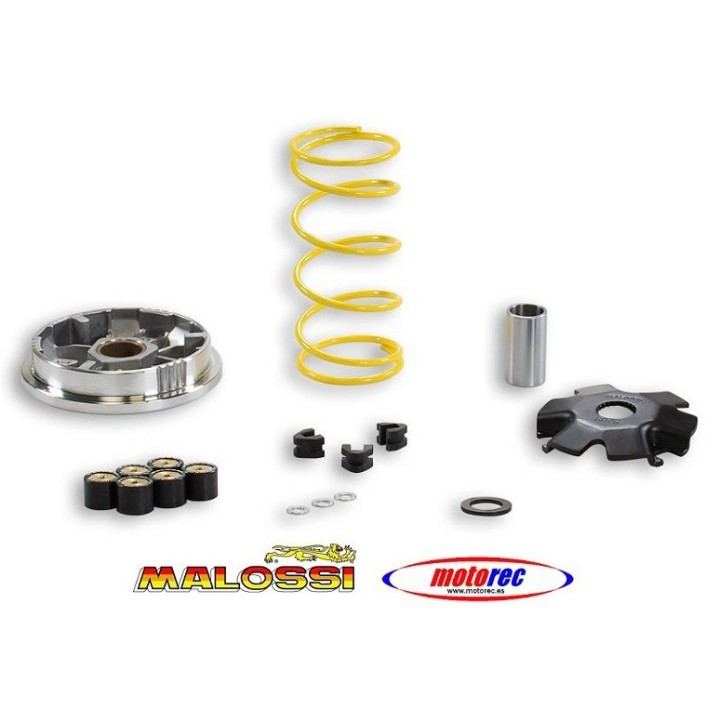 Variador Malossi Suzuki Address 100