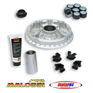 Variador Malossi  Yamaha Majesty 400 2004-08