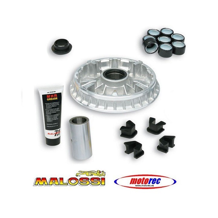 Variador Malossi  Yamaha Majesty 400 2004-08