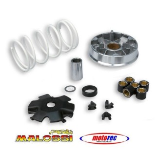 Variador Malossi Kymco Agility 50, Dink, People  4t
