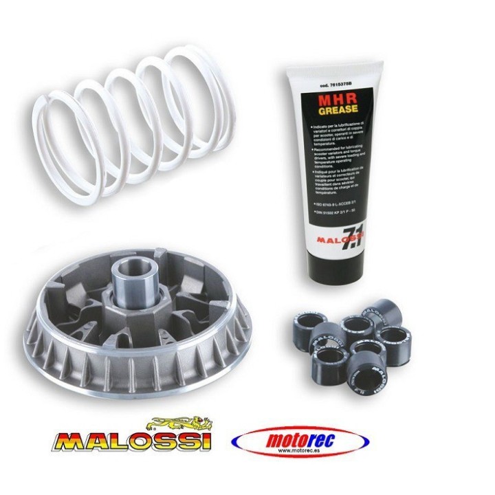 Variador Malossi Gilera Nexus 500, Beverly 500