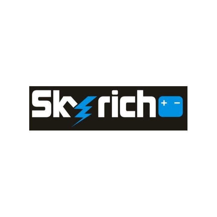 BATERIA LITIO SKYRICH HJT12B-FP
