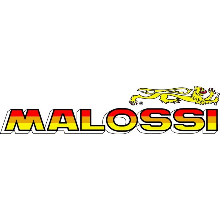 Árbol De Levas Doble Malossi Yamaha T-Max 500