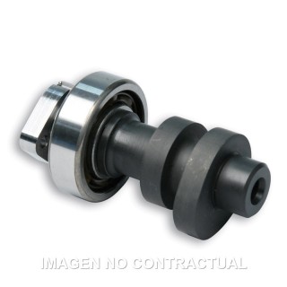 Árbol De Levas Malossi Power Cam Honda SH 300, Forza 300.