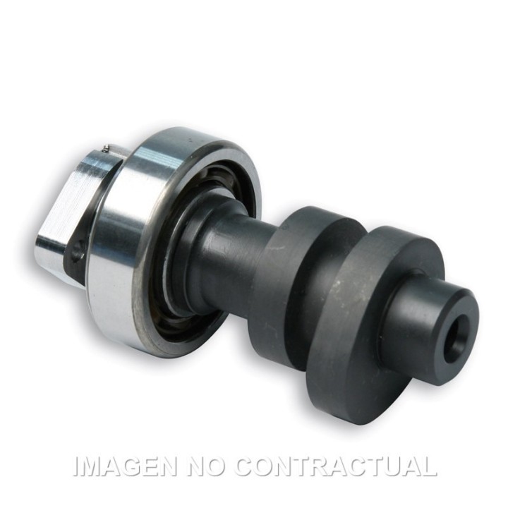 Árbol De Levas Malossi Power Cam Honda SH 300, Forza 300.