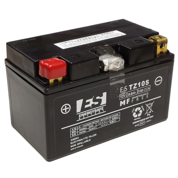 Batería Energy Safe ESTZ10-S