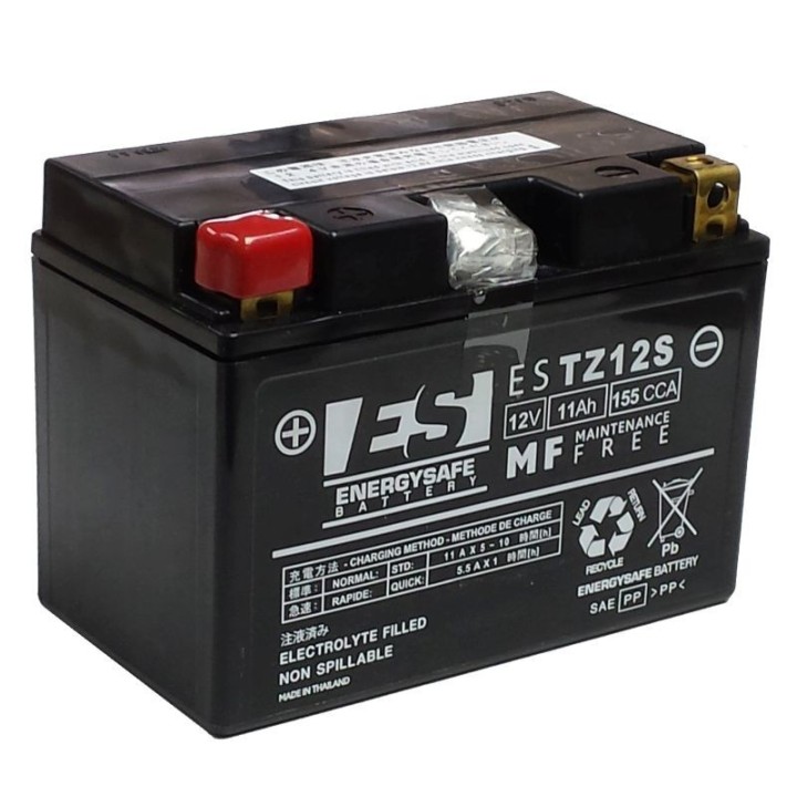 Batería Energy Safe ESTZ12-S