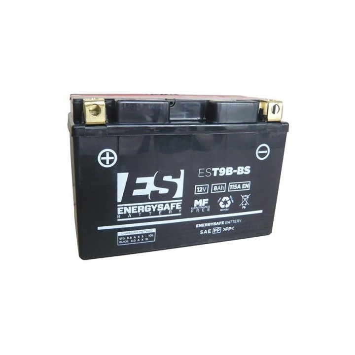 Batería Energy Safe EST9B-BS 12V/8 AH